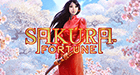 Logo Sakura Fortune
