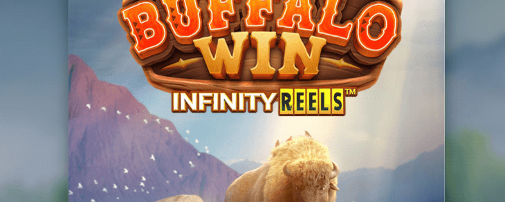 Buffallo Win_1