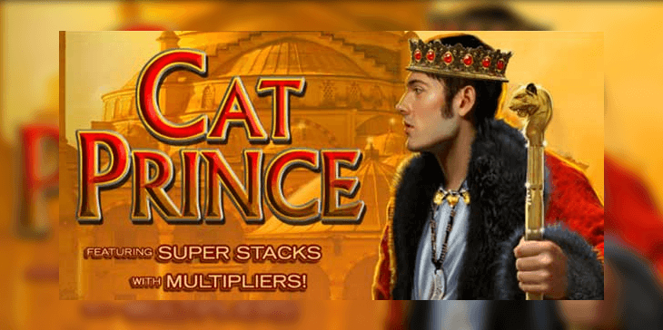 Cat Prince